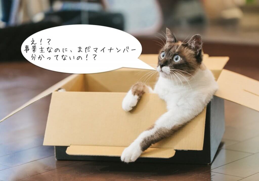 マイナンバーを指摘する猫