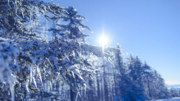 雪と太陽
